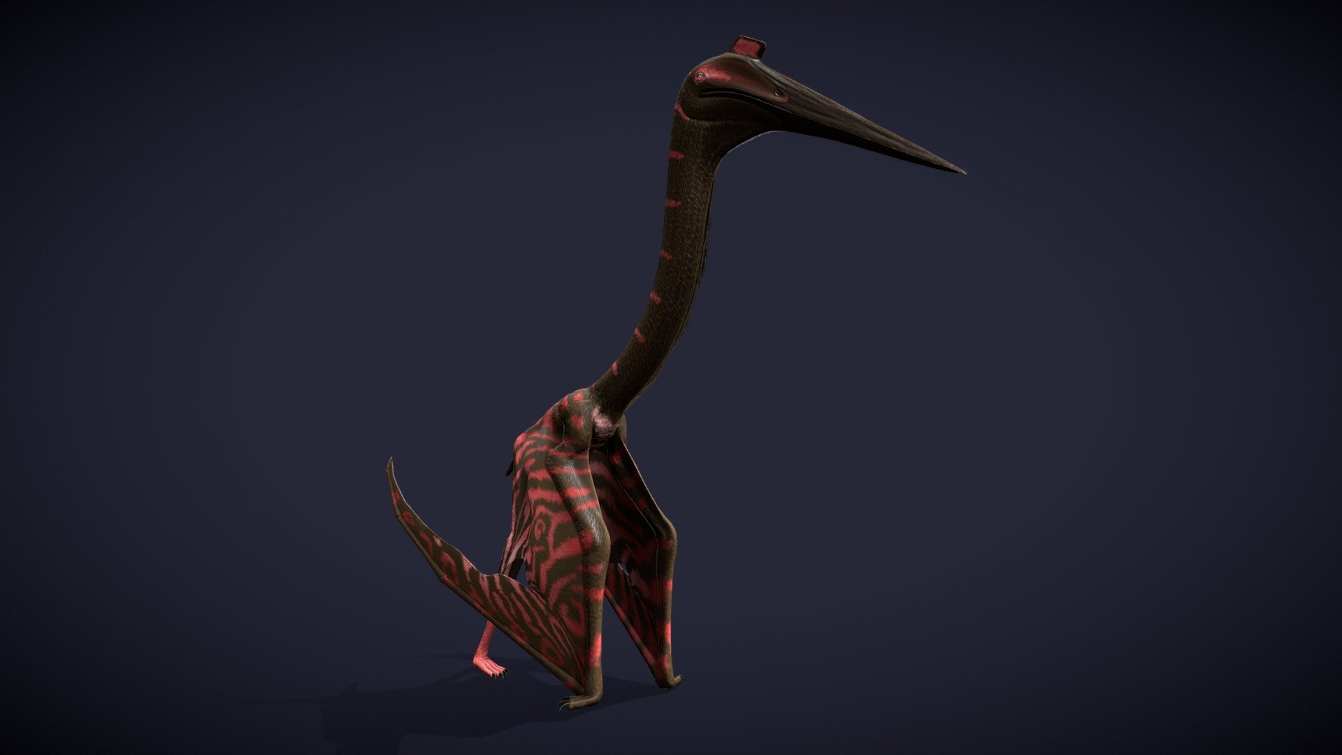 Quetzalcoatlus northropi - 3D model by Exmoor beast (@Exmoorbeast ...