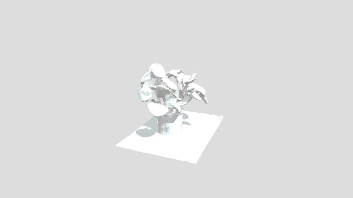 PLANT 3D Model