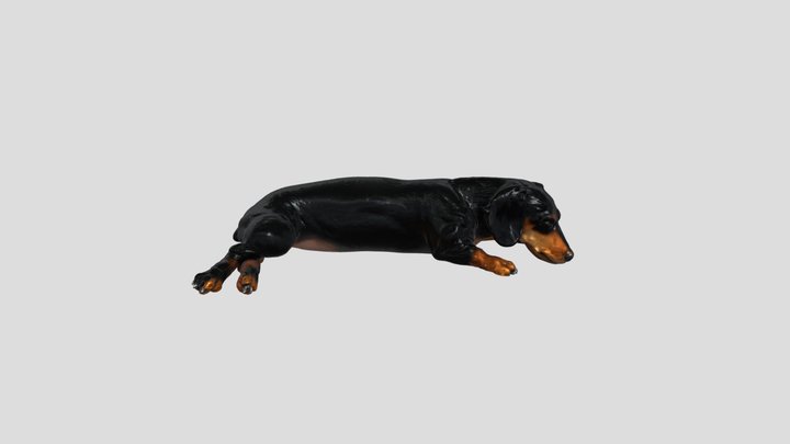 Dreaming Dachshund 3D Model