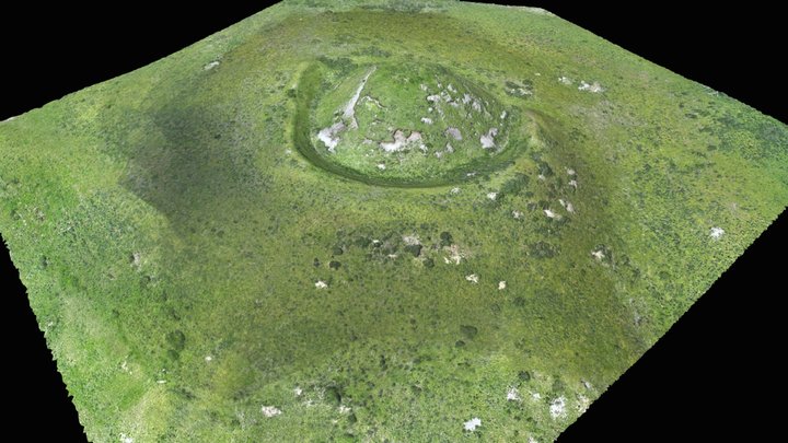 Enclosure in Moatquarter (kilfeakle Par.)