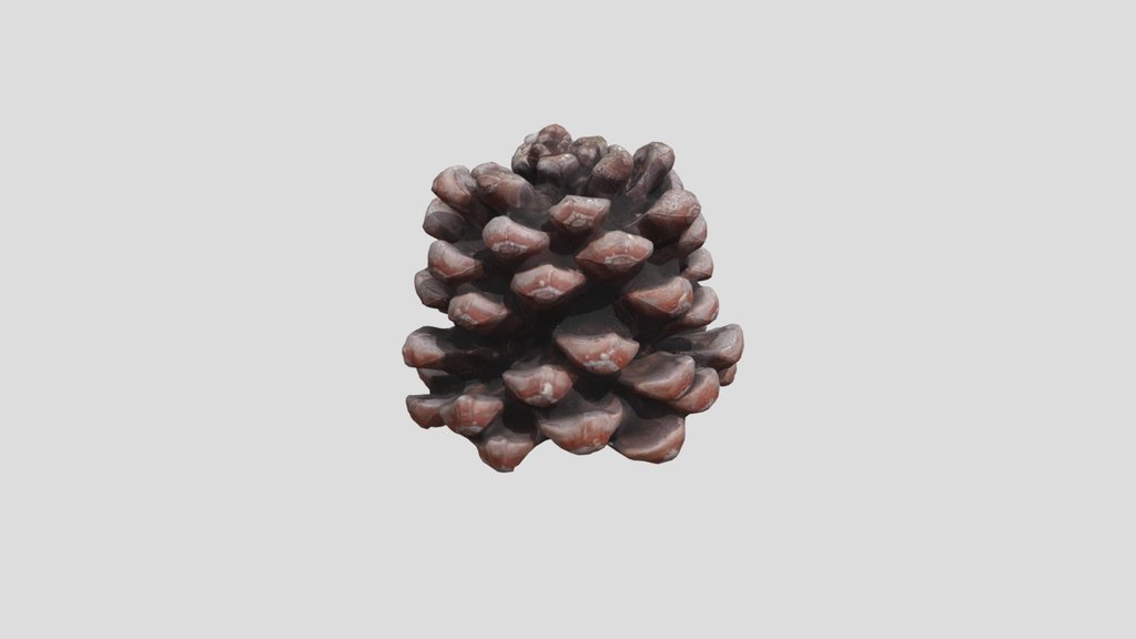 Pine Cone V2