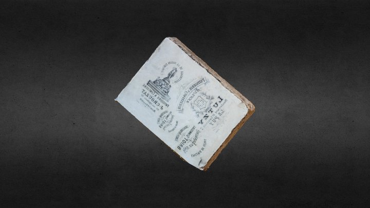 Pierre Lithographique 3D Model