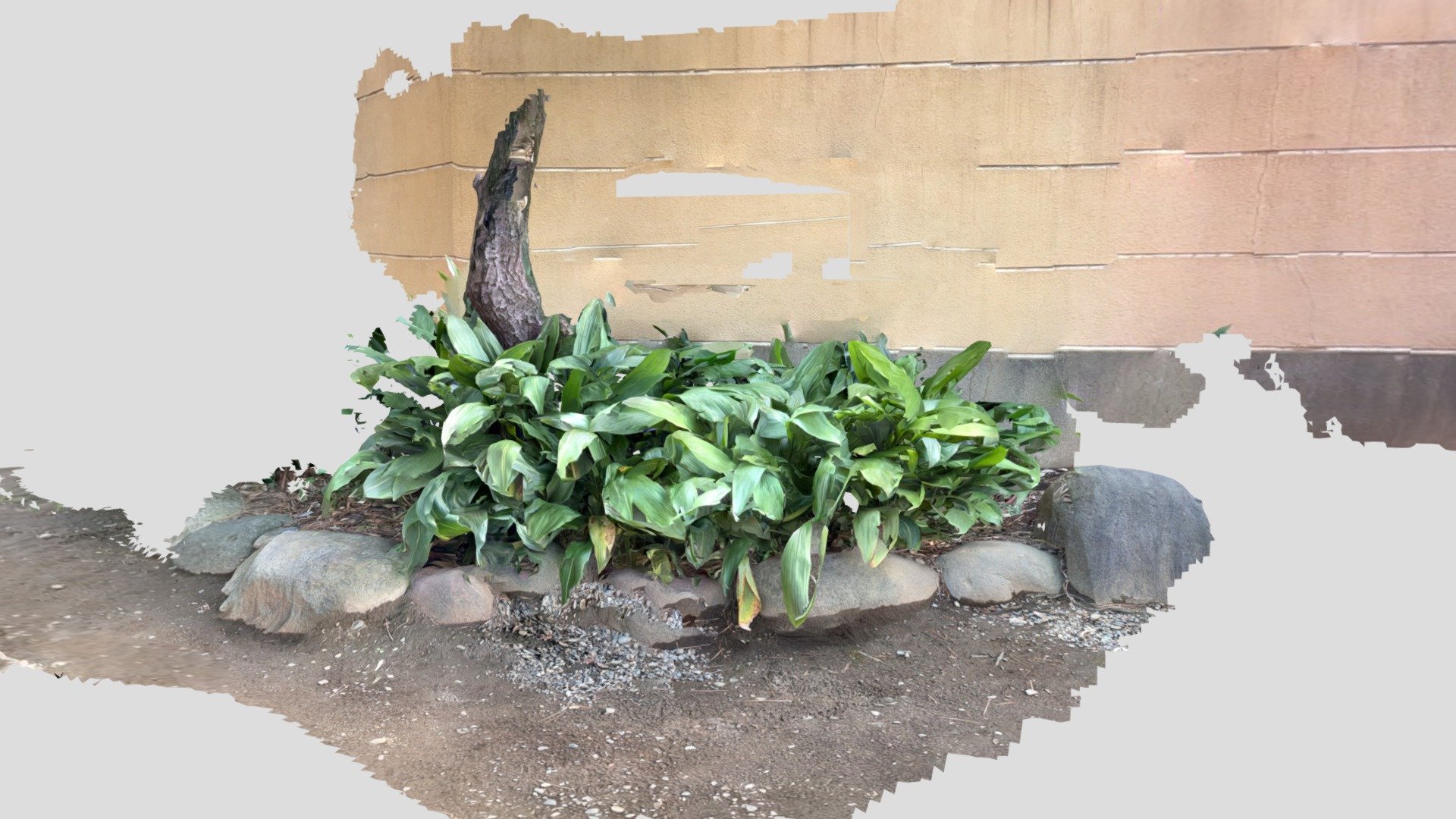 reef_test01 3dScanner