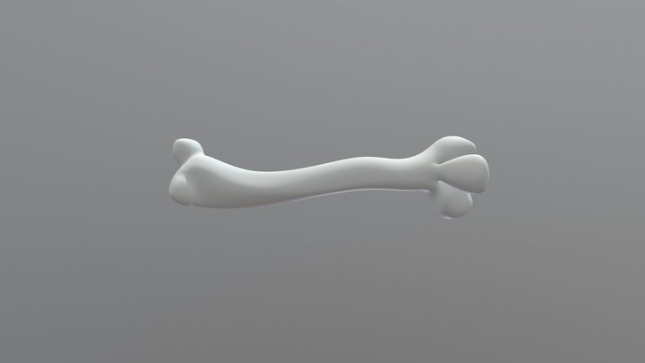 Femore Fauno 3D Model