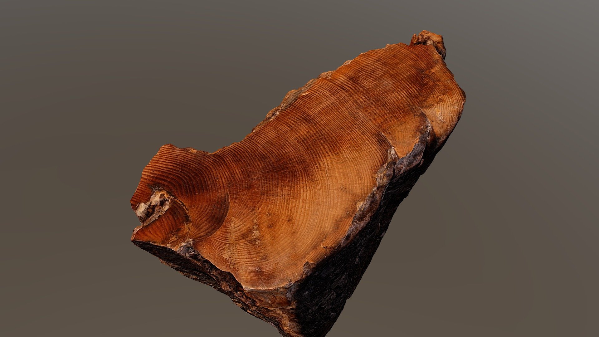 Tree trunk sample - Fire Scar - 3D model by Geospatial and Virtual ...