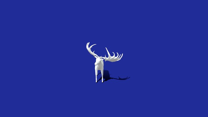 Animation Set Deer 3D Model