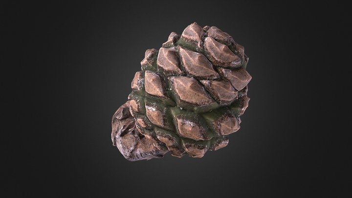 Pine cone 2 – Free 3D Model STL