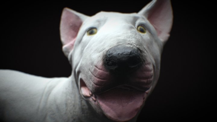 bull terrier 3D Model