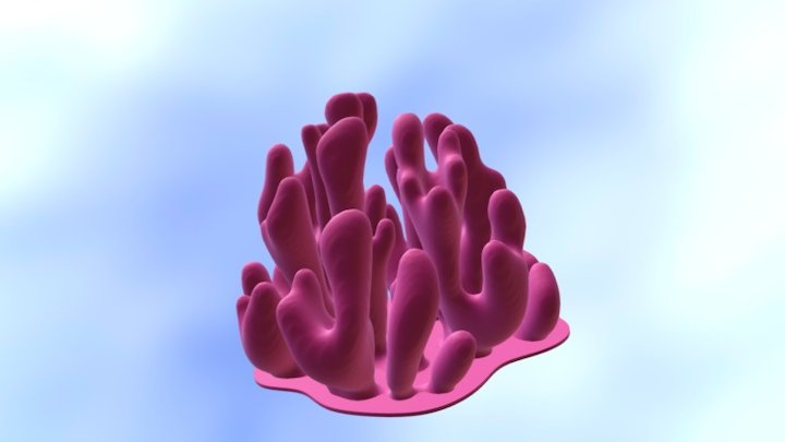 Gibsmithia hawaiiensis 3D Model