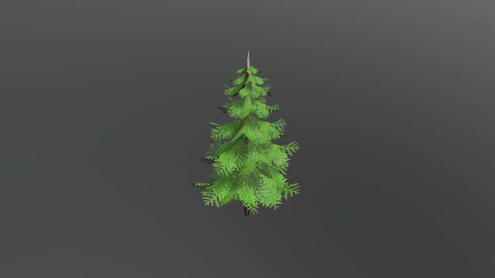 Fir Tree 3D Model