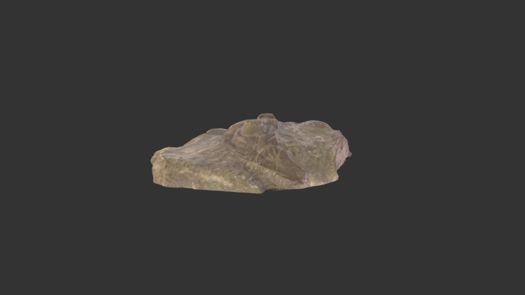 Trilobite