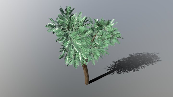 Walnut Tree 3D Model