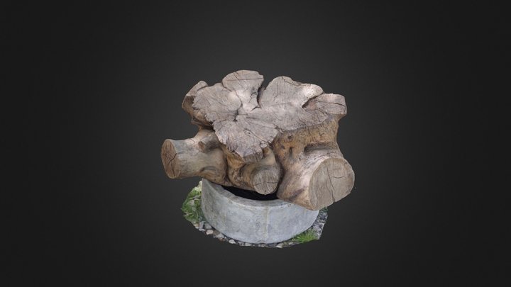 Cutted Wood 3D Model