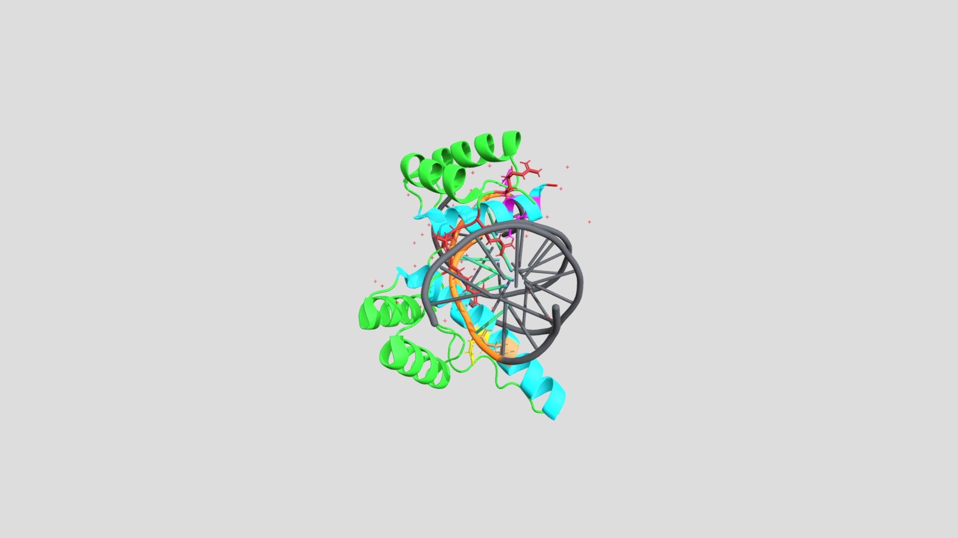 Human DUX4 visualisation