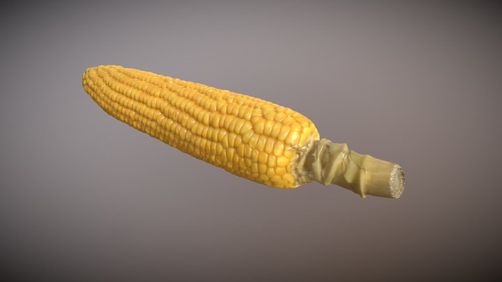 Corn 3Dscan 3D Model