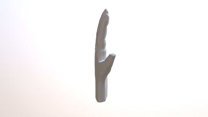 Hans, the Hand 3D Model