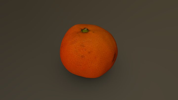 Mandarin Orange 01 3D Model