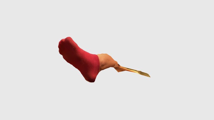 Anna’s foot 3D Model