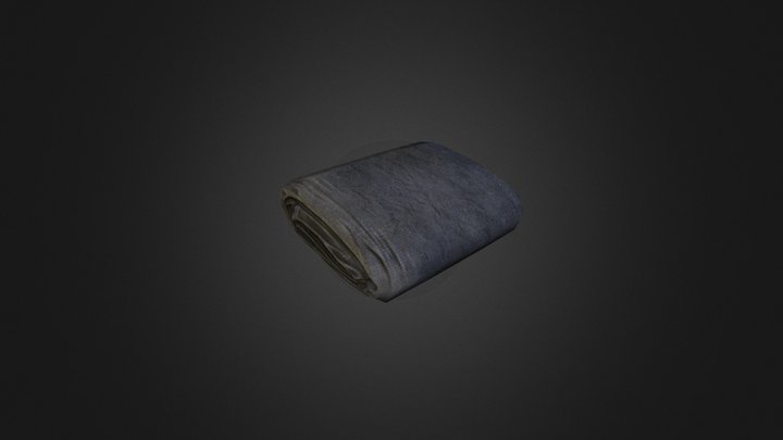 Tarp Wrapped 3D Model