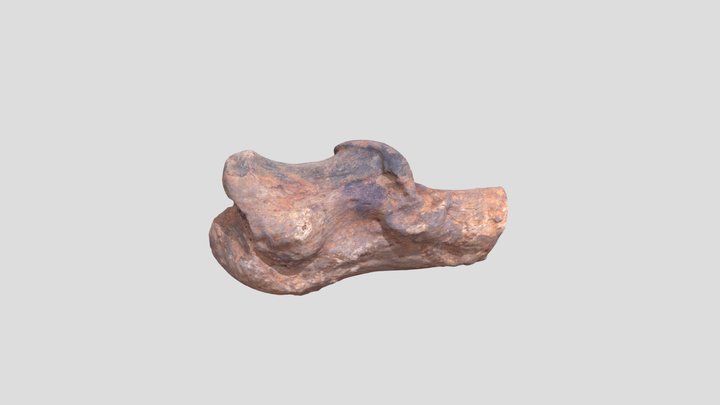 JS054 3D Model