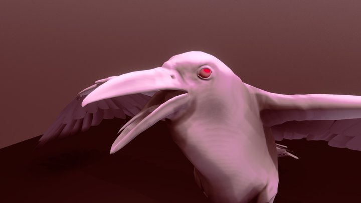 Activity Eight - Raven 3D Model