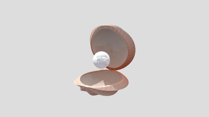 shell 3D Model