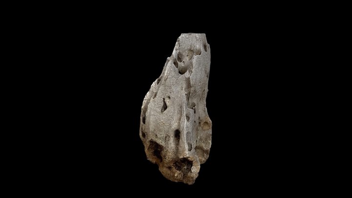 3D scan test Stone 3D Model