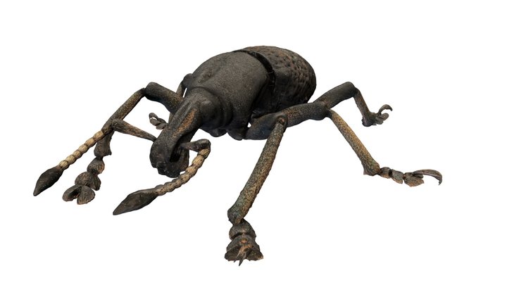 E09 3D Model
