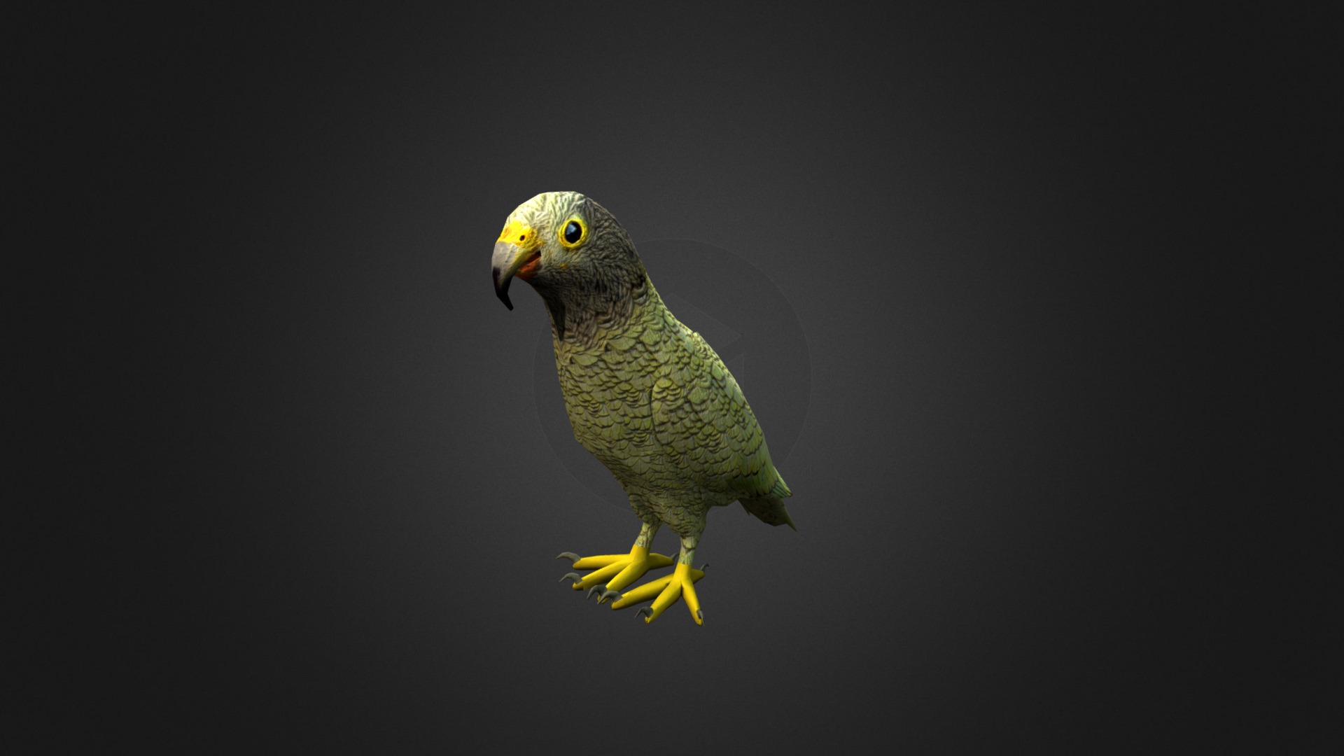3D model Kea - This is a 3D model of the Kea. The 3D model is about a green and yellow bird.