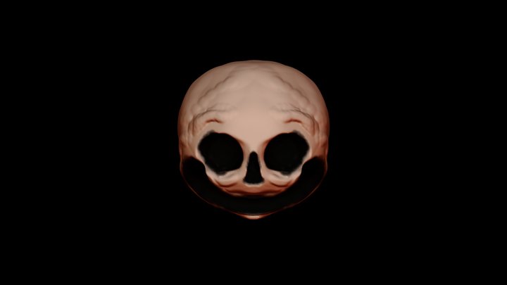 My model 3D Model