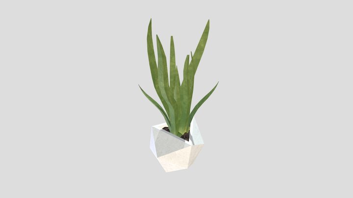 8: Plant 3D Model