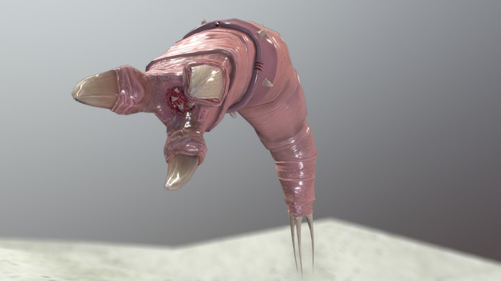 The Earth Worm 3D Model