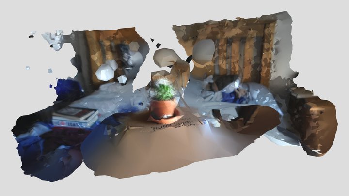 "Cactus" 3D Model