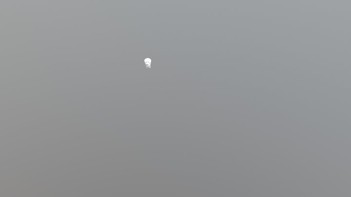 Human Head Modeling 3D Model