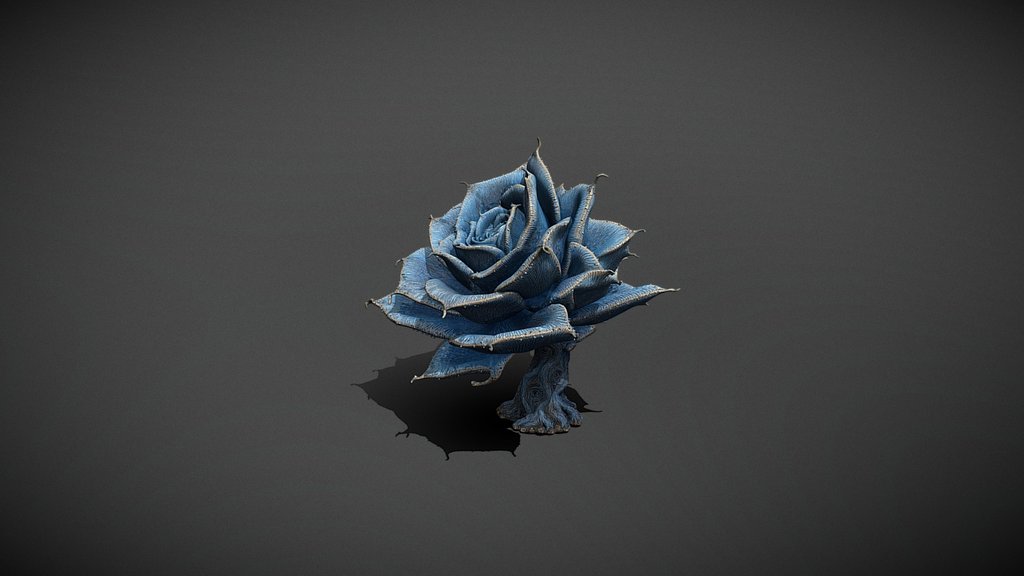 Alien Desert Succulent_Tim