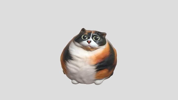 Котость 3D Model