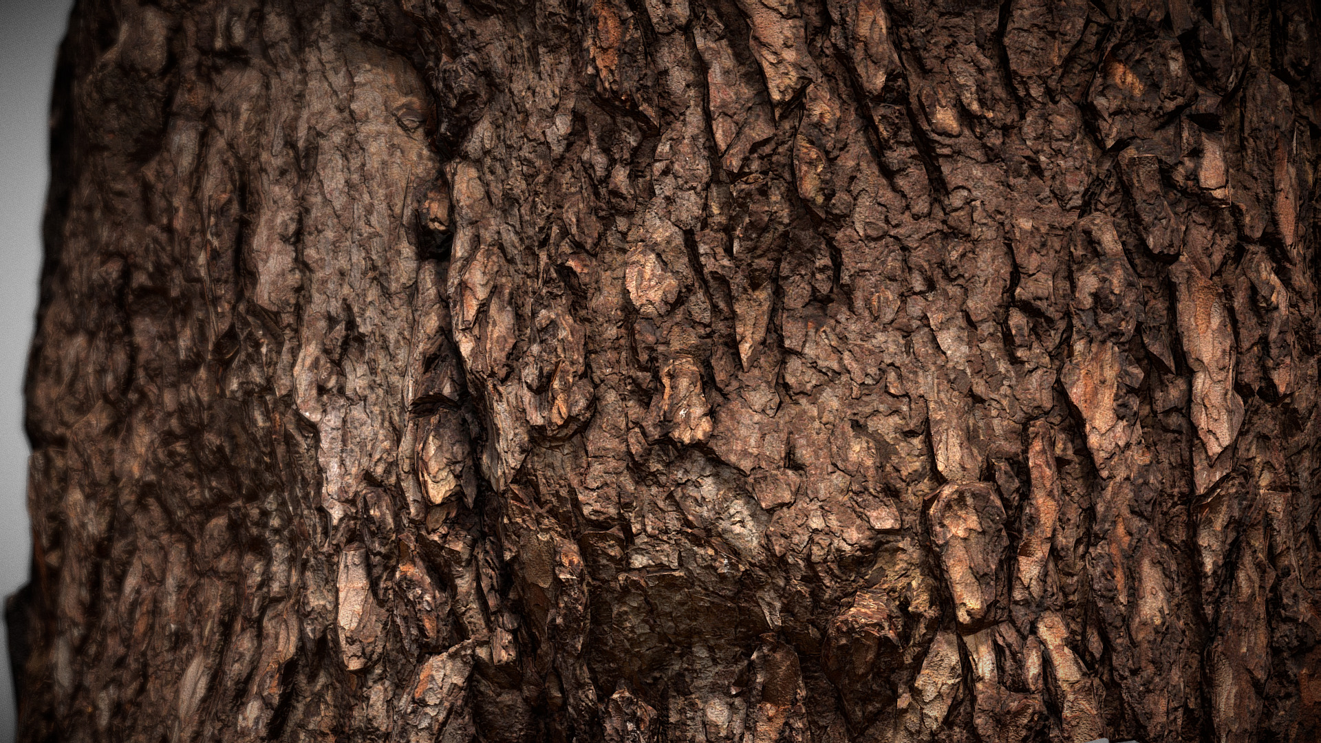 3D model Pine Bark Macro Scan - This is a 3D model of the Pine Bark Macro Scan. The 3D model is about a close up of a tree trunk.
