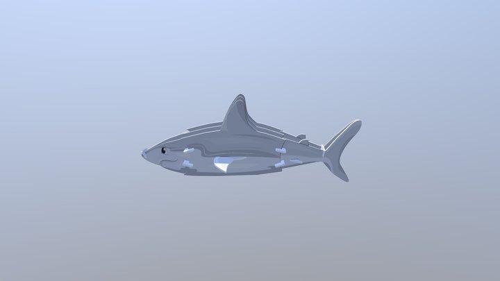 Tiburon de Galapagos 3D Model