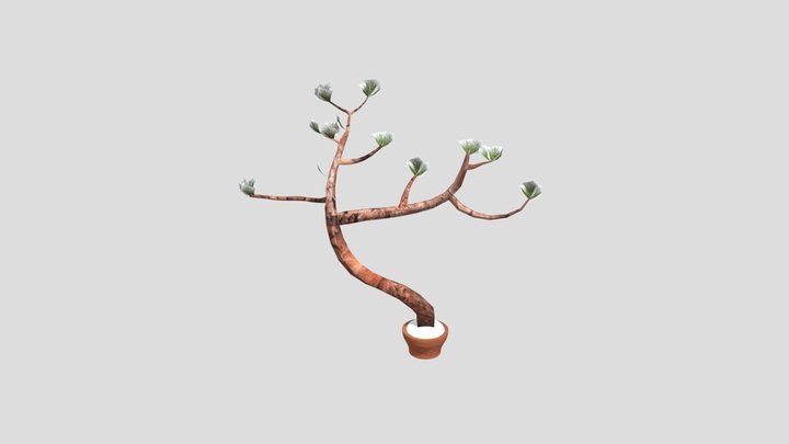 Wk8_ Plant 3D Model