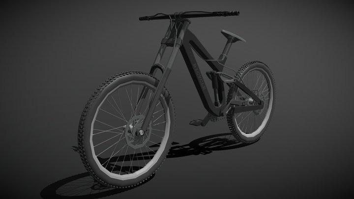 Enduro bicycle DH