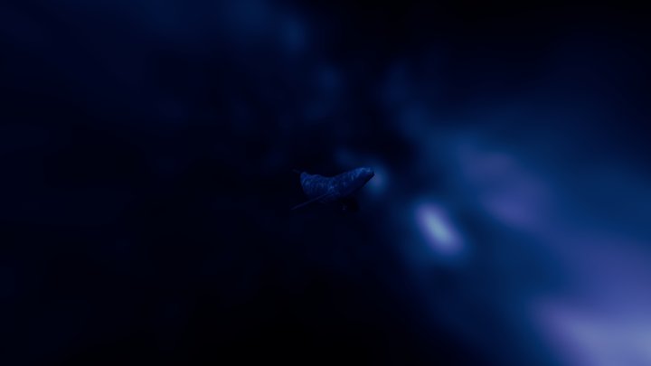 Blue Whale Calf 3D Model