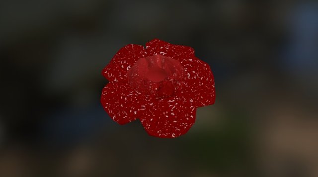 Rafflesia 3D Model