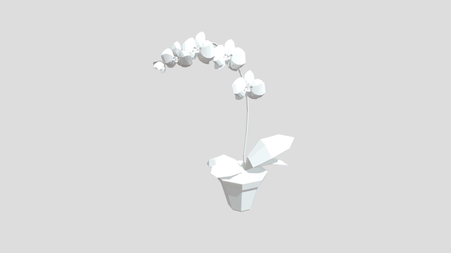 Orchid from Poly by Google