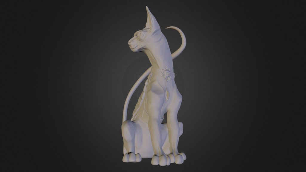 Animal anatomy A 3D model collection by furctose1 Sketchfab