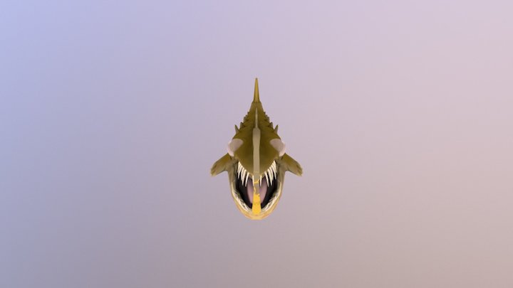 Angler Whale 3D Model