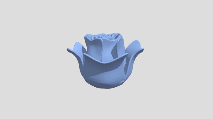 Rounded Rose 120x120 3D Model