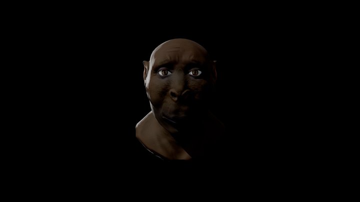 Erectus 3D Model