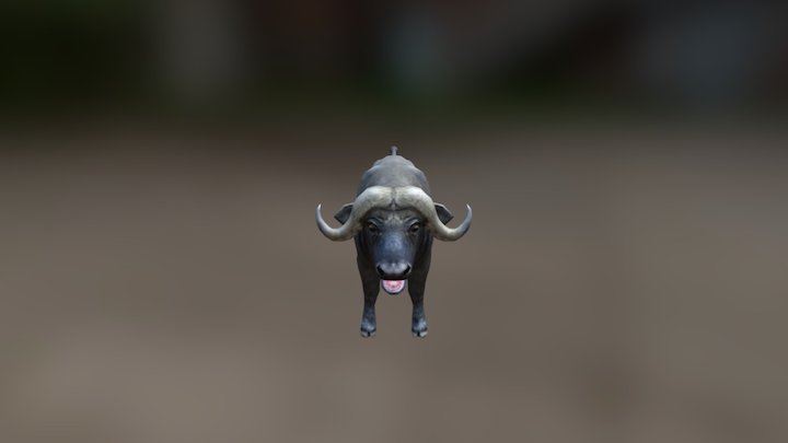 Buffalo Low Poly 3D Model