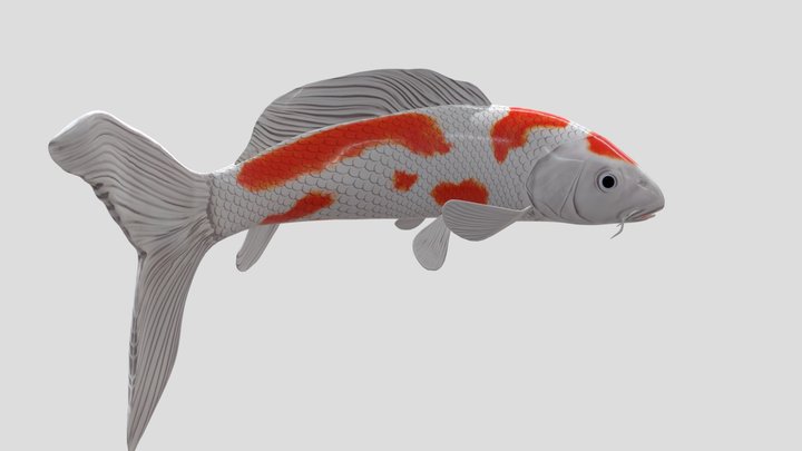 gambar ikan 3D ACHAAA 3D Model