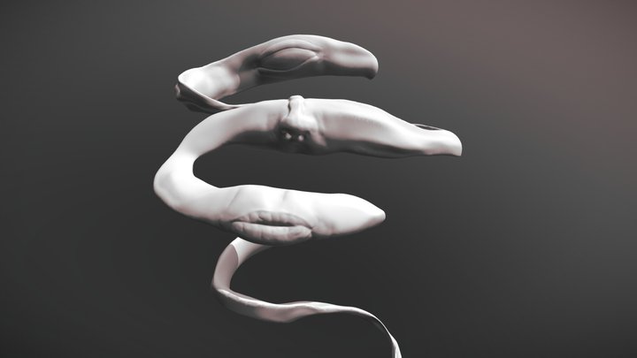 Abstract Sculpt 1 3D Model